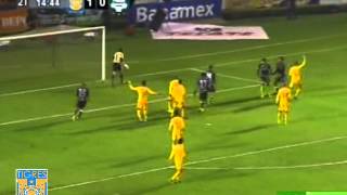 Resumen Tigres Vs Santos Amistoso 28Dic13 [upl. by Ynohtnacram200]