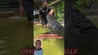 THIS GUY IS REALLY BRAVE PLAYING WITH THE CROCODILE [upl. by Zindman]