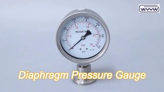 12 npt bsp low pressure diaphragm pressure gauge stainless steel [upl. by Anreval805]