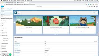 Salesforce Customer amp Account Segmentation as well as New Business vs Existing Business [upl. by Wiles782]