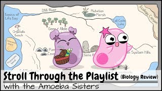 Stroll Through the Playlist a Biology Review [upl. by Belden]