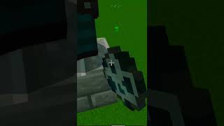 Minecraft annual vs vindicator shorts minecraft [upl. by Pauline]