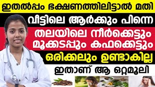 ഇതല്പം ഭക്ഷണത്തിലിട്ടാൽ മതി തലയിലെ നീർക്കെട്ടും മൂക്കടപ്പും കഫക്കെട്ടും ഒരിക്കലും ഉണ്ടാകില്ല [upl. by Wallinga386]