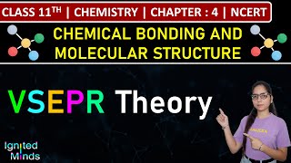 Class 11th Chemistry  VSEPR Theory  Chapter 4 Chemical Bonding amp Molecular Structure  NCERT [upl. by Villiers]