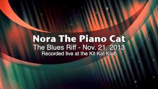 Nora The Piano Cat The Blues Riff 112113 [upl. by Quincy]