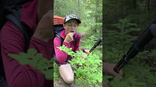 Poisonous plants to watch out for on the trail backpacking poison edibleplants [upl. by Anerbes]