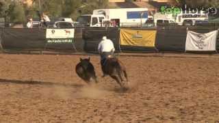 ASH National Show 2013  Open Campdraft [upl. by Kirstin]