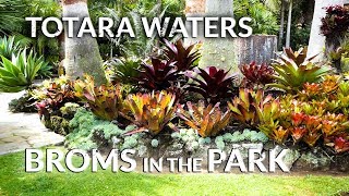 TOTARA WATERS BROMS in the PARK 2017 [upl. by Benji32]