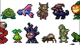 Terraria How To Summon Multiple Pets [upl. by Amabel]