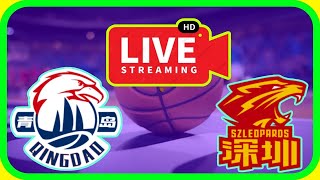 cba Round 9 Qingdao Eagles VS Shenzhen Leopards score details 121109 [upl. by Eirret]