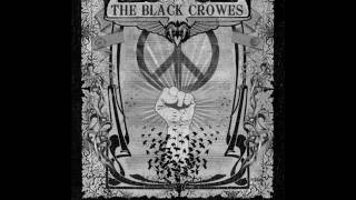 Black Crowes  Bitter Bitter You [upl. by Shirk]