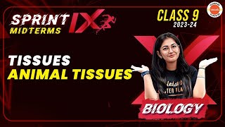 Sprint IX  Animal Tissues Most Important Questions  Tissues Class 9CBSE Class 9 Science Biology [upl. by Betthel155]