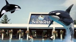 EXPLORING FORMER SEA WORLD CLEVELAND OHIO [upl. by Alahc967]