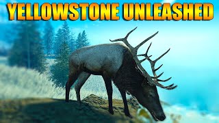 Surviving Solo in Yellowstone Unleashed [upl. by Eirahcaz332]