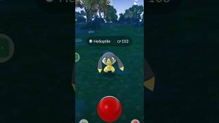 See how I Catch a Helioptile in Pokemon go pokemongo [upl. by Eldred]