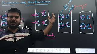 RECOMBINANTNON RECOMBINANTTRANSFORMANTNON TRANSFORMANTBIOTECHONOGY CLASS12NEET [upl. by Yecaw798]