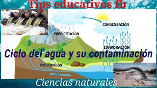 Ciclo del agua y su contaminación [upl. by Ahcsap212]