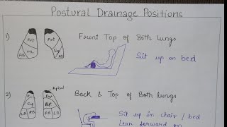 34Postural Drainage Positions With lungs  How to draw positions in exam  All in one video [upl. by Elatan]