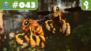 ARK Survival Ascended 043  Med a pasta 🐝 [upl. by Lohner]