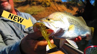 Fishing with NEW lures catching Barramundi [upl. by Blisse754]