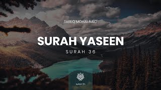 Surah Yaseen  Qari Tareq Mohammed  سورة يس  القارئ طارق محمد [upl. by Eivol]