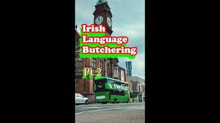 Why the Irish Language is More Important Than Ever ireland irelandvlogs [upl. by Consuelo]