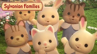 Best of the Babies 👶🏻 Animation Compilation  Sylvanian Families [upl. by Nodyarg]