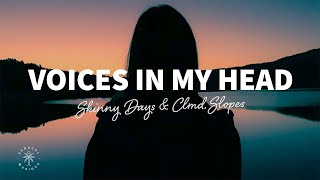 Skinny Days amp CLMD  Voices In My Head Lyrics ft Slopes [upl. by Enrobso986]