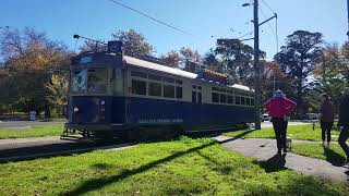 Trams by the Lake tram [upl. by Flosi]