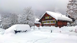 Heavy snowfall in Klosters ❄️ Switzerland 4K 🇨🇭 [upl. by Epperson808]