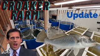 Croaker Farm Update [upl. by Waters642]