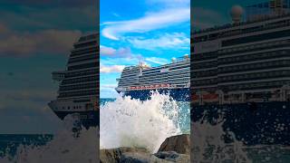 MS Rotterdam 🛳️⚓️like share comment subscribe cruiseship cruise vacation shorts short wow [upl. by Ungley]