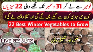 Winter 22 Vegetables List To Grow From November To Last Week Of December At Home Garden  Gardening [upl. by Mayce]