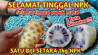 Luar biasa Saya terkejut dengan hasilnya Cara membuat pupuk NPK mutiara 161616 [upl. by Htebzil59]