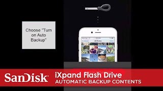 iXpand Flash Drive  Automatic Backup Contents [upl. by Oilcareh108]