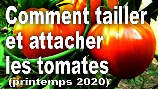 Comment tailler et attacher les tomates [upl. by Buckley]