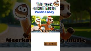 Nuffi Music Preview with the Meerkats Song as a Remix and a Fox that Binging Series and Movies [upl. by Assyn]