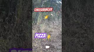 Pizza will anything eat thisoutdoors urbantrailcam trailcamera pizza wildlife huntingseason [upl. by Etnom]