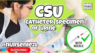 Catheter Specimen of Urine CSU with Needle  NMC OSCE 🇬🇧 nurseniezl niezl2023 jenuinehappiniz [upl. by Pembroke988]