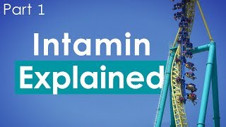 Intamin Explained  Part 1 [upl. by Ayekram]