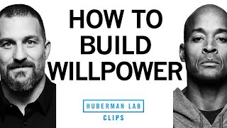 How to Build Willpower  David Goggins amp Dr Andrew Huberman [upl. by Tiebout]