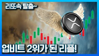 리플 지금이라도 빨리 사세요 리플 리플전망 코인분석 차트분석 비트코인 도지코인 이더리움 시바이누 업비트 리또속 코인투자 [upl. by Koah462]