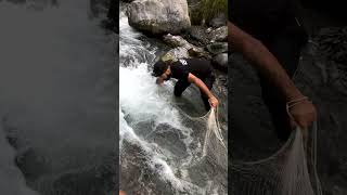 Net Fishing in Crowded Stream  Unexpected No Catch in Fast Water Adventure fishing ytshorts [upl. by Lamdin]