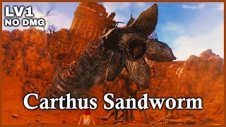 Dark Souls 3 Archthrones Mod Demo  Carthus Sandworm ◤LV1 No Damage◢ [upl. by Ettedo]