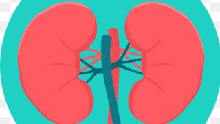 renal medicine reflex nephropathy [upl. by Dillon]