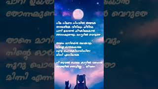 Nila nilave song lyrics  RDX  Kapil Kapilan  Shan Nigam  Mahima [upl. by Paza390]