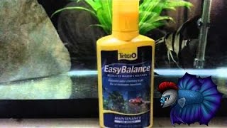 Easy Balance Review Thank You To Tetra [upl. by Aikmat]