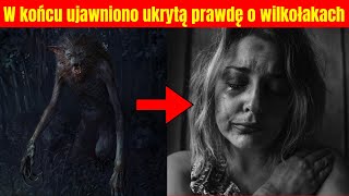 NOWE dowody ujawniają PRAWDĘ o WILKOŁACH [upl. by Bartel]