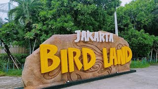 Indonesia Trip in 26K Only 🇮🇩  Jakarta Solo Trip  Budget Hotel and Cheap Flights  Visa on Arrival [upl. by Dan]