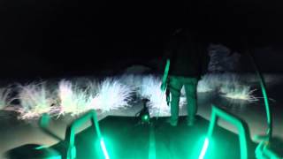 2014 Bowfishing at Night [upl. by Einalem]